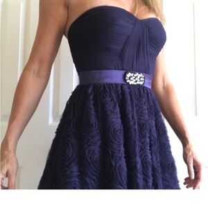 Adrianna Papell tulle dress strapless short rosette skirt crystal buckle NWT